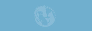 Clube NAM - Natural Animal Movement