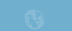 Clube NAM - Natural Animal Movement