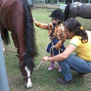 Clube NAM - Natural Animal Movement