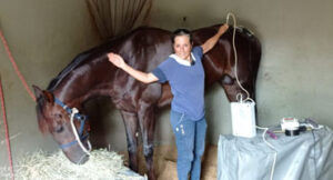 Ana Stela Fonseca e cavalo