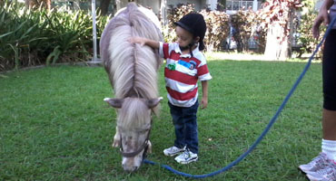 Potro com criança