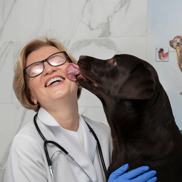 carta-aberta-aos-veterinarios-banner