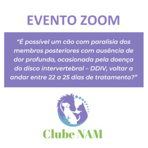 Evento Zoom gravado dia 16/12/2023